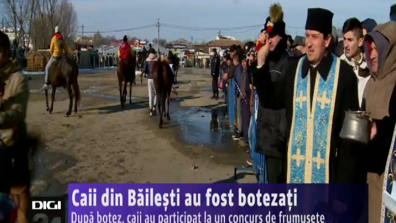 Caii din Bailesti au fost botezati. Traditia spune ca animalele vor fi pazite de boli Imagine