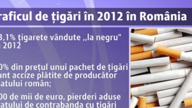 Caini antrenati sa gaseasca tigari de contrabanda Imagine