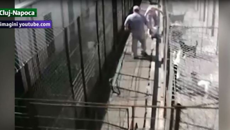 Caini batuti cu picioarele. O asociatie ii acuza de cruzime pe angajatii adapostului de animale din Dej Imagine