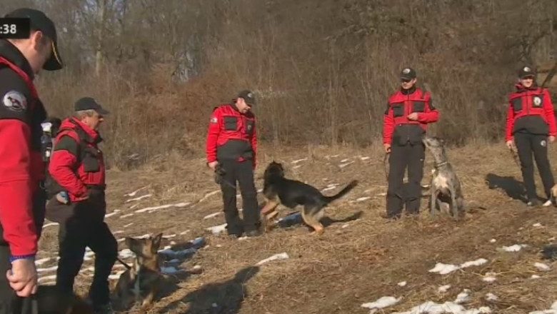 Cainii care salveaza vieti Imagine