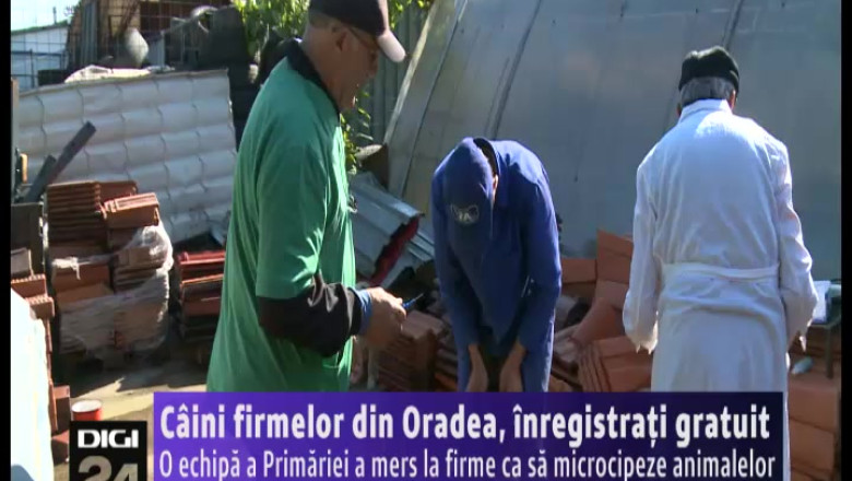 Cainii firmelor din Oradea, inregistrati gratuit Imagine