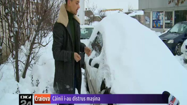 Cainii i-au distrus masina unui craiovean Imagine