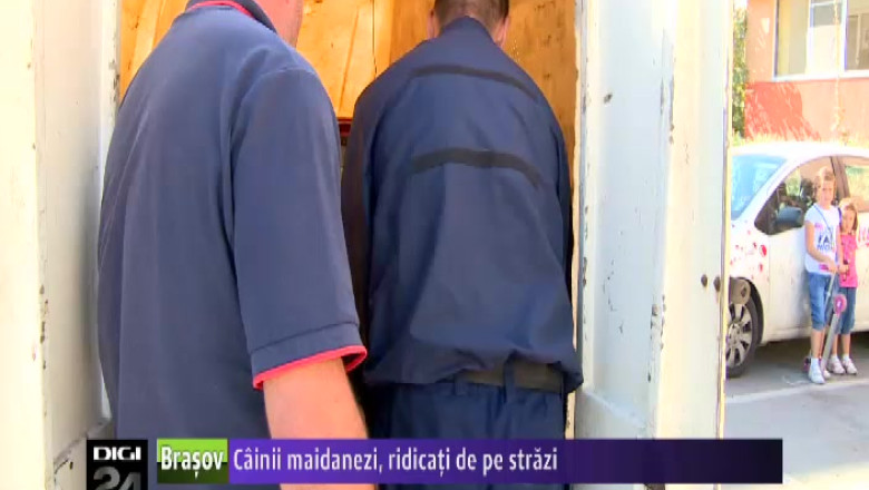 Cainii maidanezi, ridicati de pe strazi Imagine