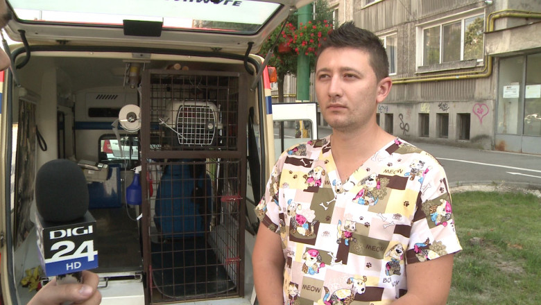Cainii timisorenilor, transportati cu ambulanta la sterilizare  Imagine