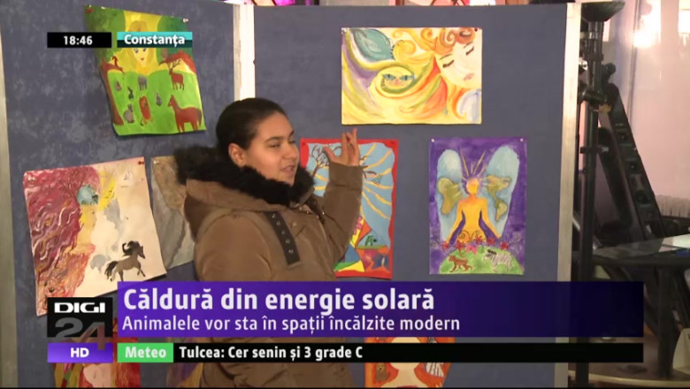Caldura din energie solara. Animalele vor sta in spatii incalzite modern Imagine