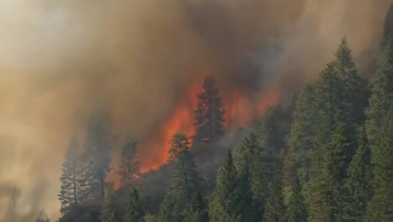 California, cele mai mari incendii din ultimii 100 de ani. 5.000 de hectare de pamant si 200 de locuinte arse Imagine