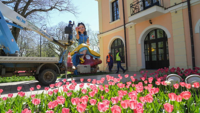 Campania de Paste. Cum i-au anulat PSD si PNL targul lui Nicusor Dan. Craiova o tine intr-o petrecere pana la alegeri Imagine