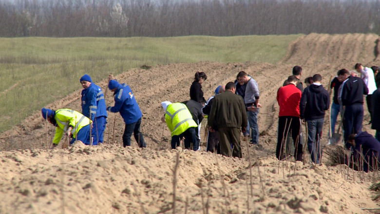 Campanie de impadurire in Dolj Imagine