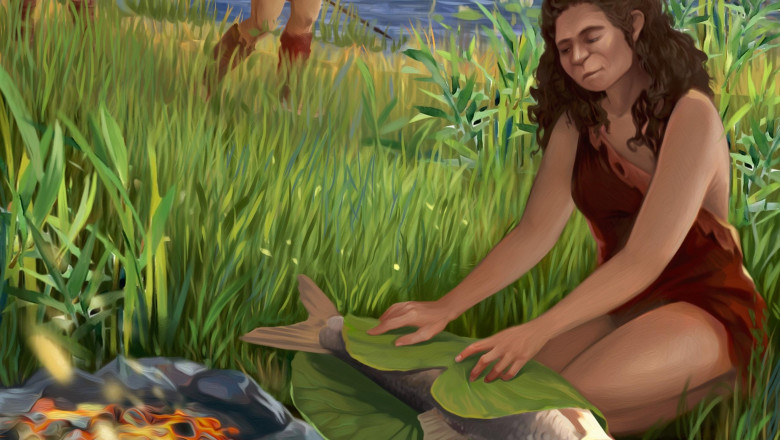 Cand au inceput oamenii sa gateasca? Cea mai veche dovada a folosirii focului pentru a prepara mancarea, descoperita in Israel Imagine