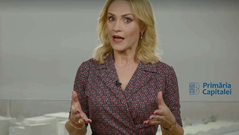 Candidatura Gabrielei Firea la Primaria Capitalei. Romascanu: Vedem cum ne pozitionam. Exista un deficit de imagine Imagine
