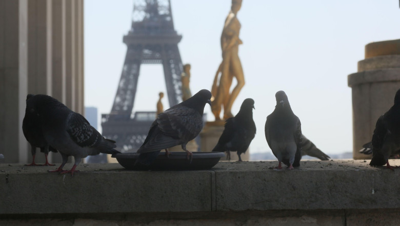 Canicula lasa Parisul fara curent electric: realimentarea cu energie este ingreunata de o greva Imagine