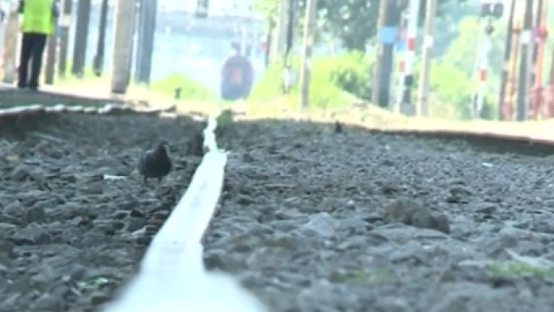Canicula pune frana trenurilor. CFR anunta intarzieri de pana la o ora Imagine
