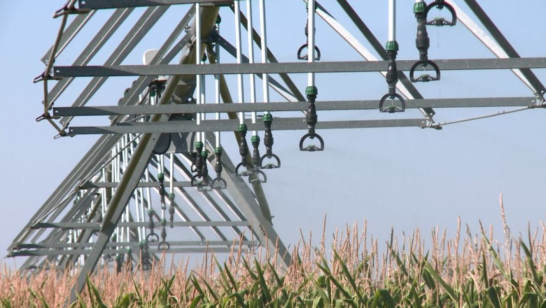 Canicula si seceta pe campurile din vestul tarii. Irigatiile fac diferenta Imagine