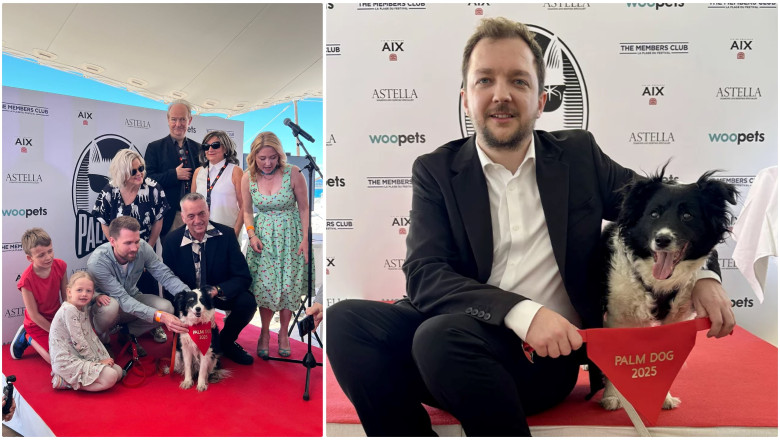 Cannes 2025: Un ciobanesc islandez a primit trofeul Palme Dog pentru cea mai buna „interpretare” canina Imagine