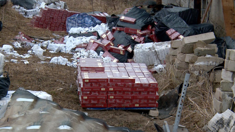 Captura record de tigari de contrabanda, facuta din intamplare Imagine