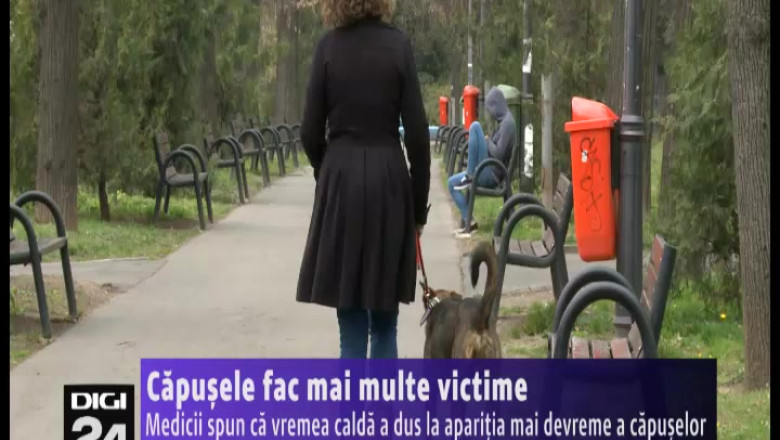 Capusele, pericol de primavara! Medicii spun ca vremea calda a dus la aparitia mai devreme a capuselor Imagine