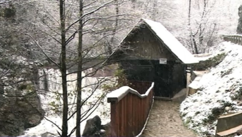 Caras-Severin. Calatorie in timp, pe taramul morilor de apa Imagine