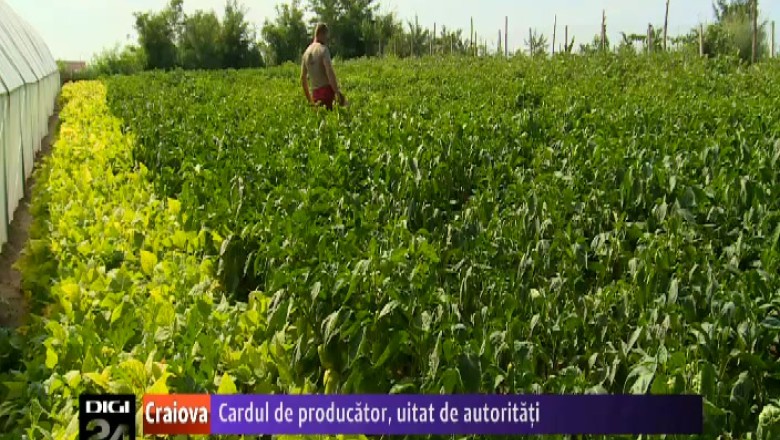 Cardul de producator se lasa asteptat. Autoritatile nu au bani pentru implementarea proiectului Imagine