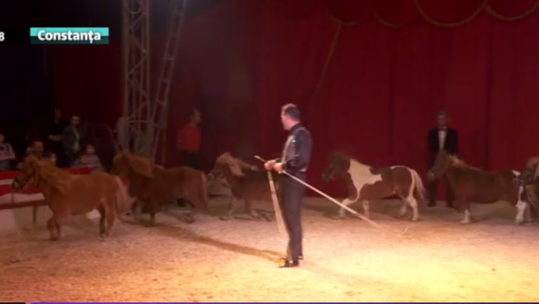 Carnavalul dauneaza animalelor Imagine