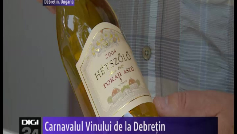 Carnavalul Vinului la Debretin Imagine