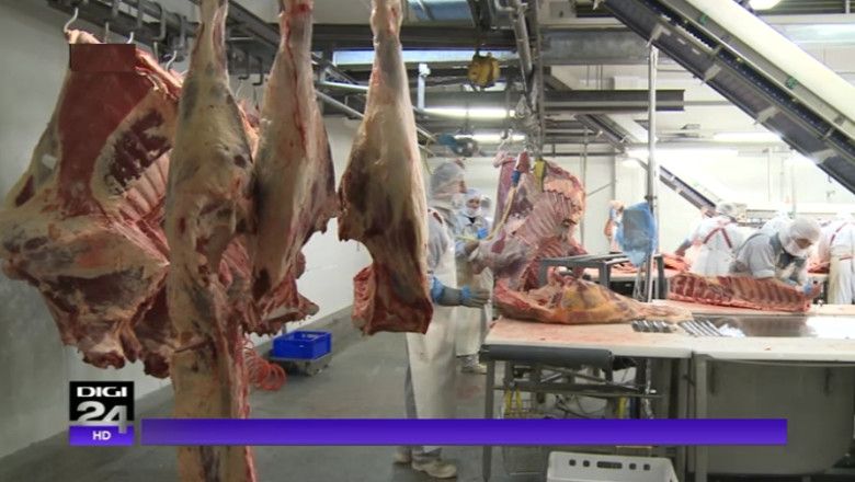 Carne de cal in conserve de vita. Noile acuzatii impotriva Romaniei vin din Marea Britanie Imagine