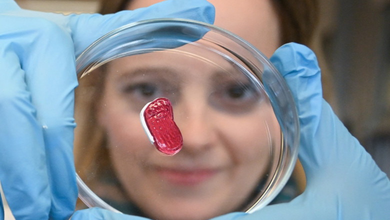 Carnea crescuta in laborator nu dauneaza sanatatii. Decizia care ar putea schimba alimentatia clasica Imagine