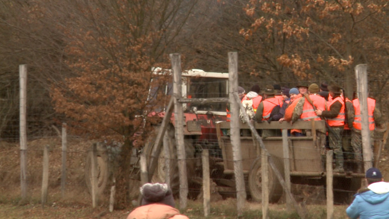 Carnea de mistret de la Balc este buna pentru consum Imagine