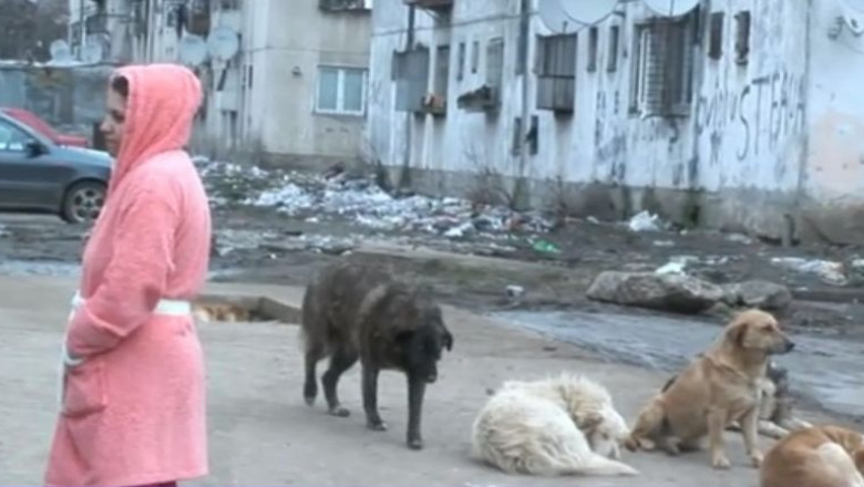 Cartierul Ferentari, in topul destinatiilor de cosmar din intreaga lume Imagine