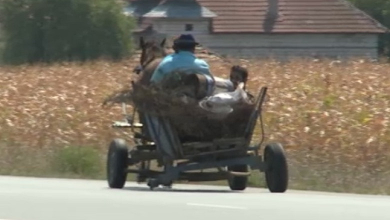 Carutele provoaca blocaje si accidente. Victor Ponta: „Am vazut coada de tiruri dupa carute” Imagine