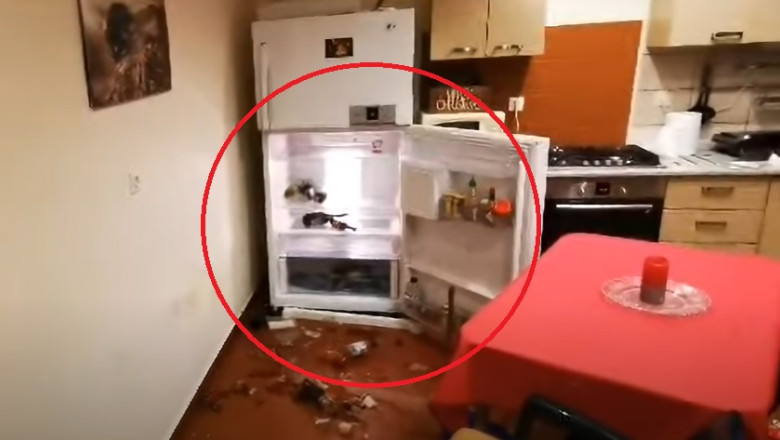 Casa de vacanta din Predeal, devastata de urs. Animalul a dat navala in bucatarie si a lasat prapad in urma lui Imagine