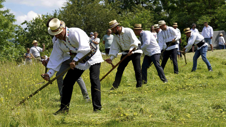 Cat costa o zi la coasa in 2023. La claca, pe filiera de partid, cu bani de la bugetul de stat Imagine
