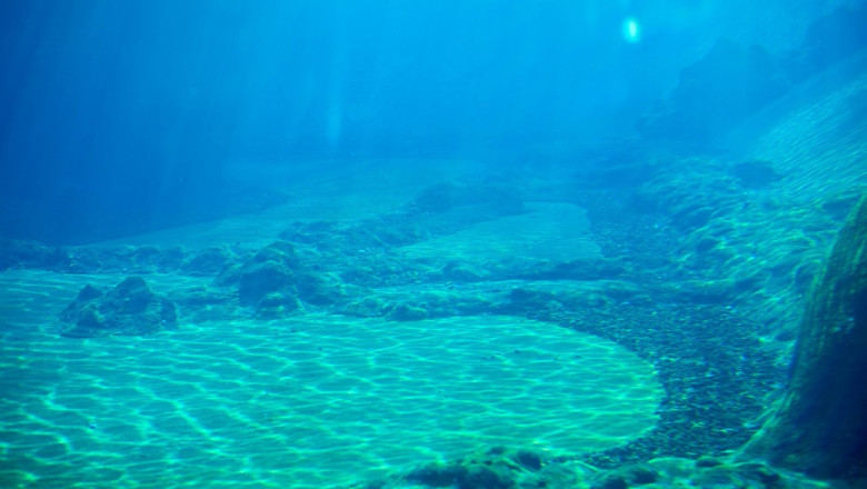 Cat de adanc este oceanul planetar: Exploratorii au coborat pana la 11.000 de metri Imagine