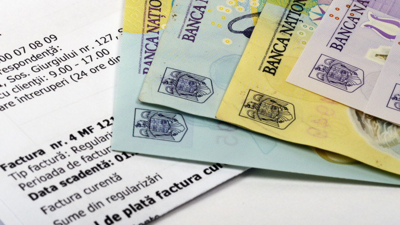 Cati romani vor primi in perioada urmatoare ajutor pentru energie. Anuntul ministrului Muncii Imagine