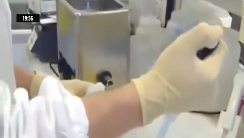 Caz tulburator de crima in serie in Italia. O infirmiera a omorat 38 de pacienti  Imagine