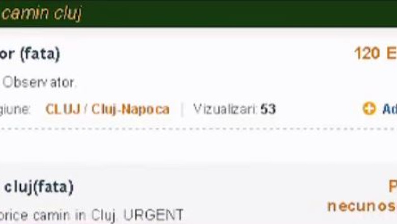 Cazarea in camin, o afacere Imagine