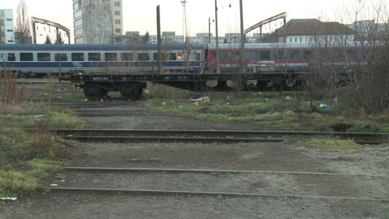 Cazul barbatului sfasiat de caini in Gara de Nord din Timisoara. Institutiile se „spala pe maini" Imagine