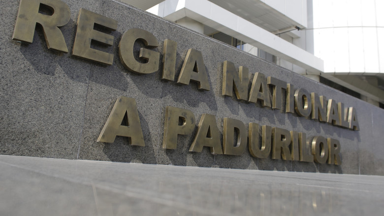 Ce a descoperit Corpul de Control al Ministerului Mediului la Romsilva. Diana Buzoianu trimite raportul la Parchetul General Imagine