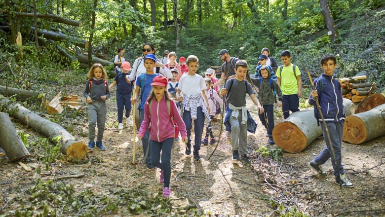 Ce activitati sunt propuse pentru elevi in programele „Scoala altfel” si „Saptamana verde”. In ce perioada se vor desfasura Imagine