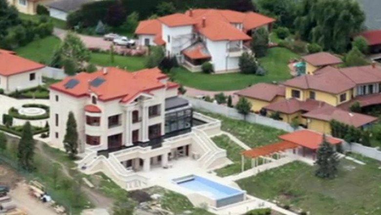 Ce avere are Adriean Videanu Imagine