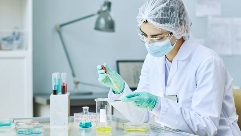 Ce este Candida auris, ciuperca rezistenta care poate provoaca infectii grave. Medic infectionist: „In cam toate spitalele exista” Imagine