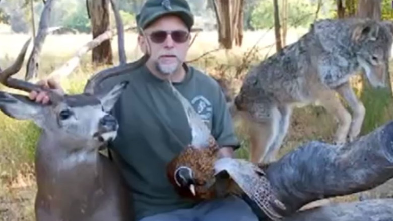 Ce este un „meme”. De ce o imagine cu o pisica devine mai populara decat alte 3 milioane Imagine