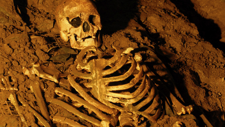 Ce faceau oamenii din Epoca de Patra cu oasele stramosilor: „O lipsa de veneratie fata de morti” Imagine