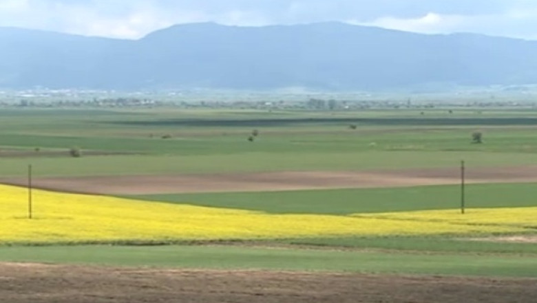 Ce pierderi inregistreaza transportatorii si fermierii romani din cauza inundatiilor de pe Dunare Imagine