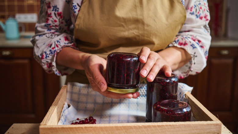 Ce reteta de magiun rezista cel mai bine in camara pe timp de iarna: Trucuri de la specialisti Imagine