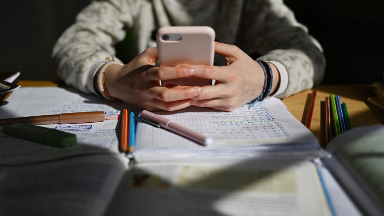 Ce s-a intamplat cu un copil de 11 ani care a vrut sa-si faca toate temele de vacanta intr-o singura zi Imagine