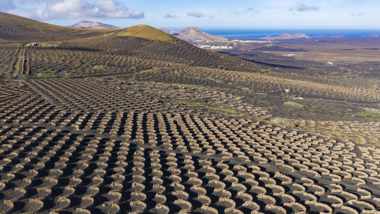 Ce se ascunde in gropile sapate in cenusa vulcanica de pe Lanzarote, „Insula de Foc” Imagine