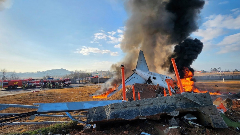 Ce spun expertii in aviatie despre cauza accidentului aviatic din Coreea de Sud Imagine