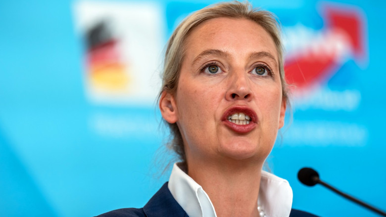 Ce spune ministrul german de Interne despre posibilitatea interzicerii partidului extremist AfD Imagine