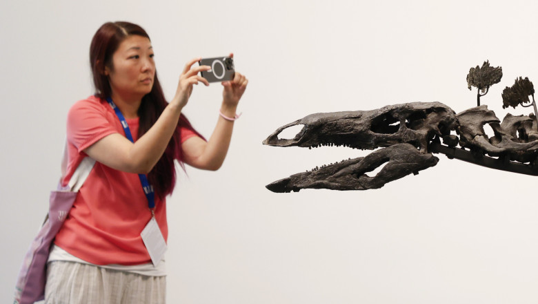 Ce sunete scoteau dinozaurii. Paleontologii au elucidat misterul, analizand o noua specie descoperita in China Imagine