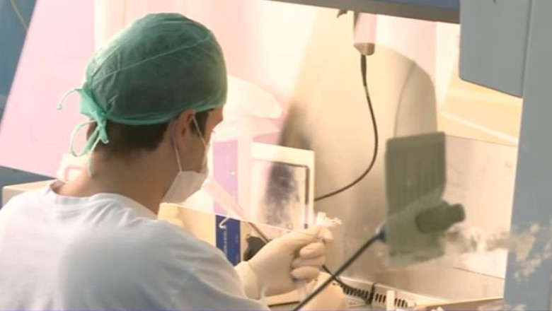 Cea mai mare banca de celule stem din Romania are probleme financiare Imagine